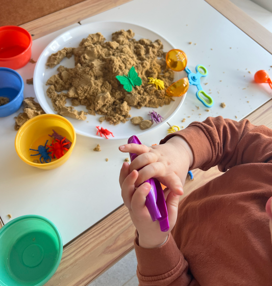 Activiteiten tip - Zoek de beestjes 🐝