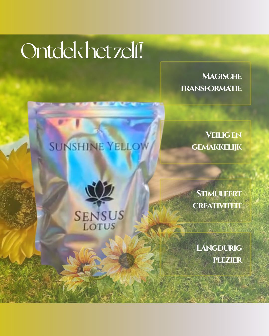 Magisch poeder - Sunshine Yellow  (Sensus Lotus)