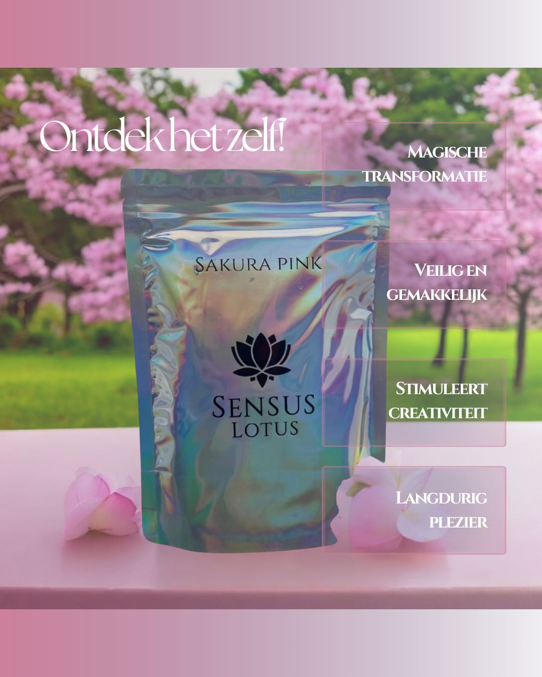 Magisch poeder - Sakura Pink (Sensus Lotus)