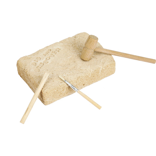 Triceratops - Dinosaurus archeologie set