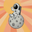De kleine astronaut logo