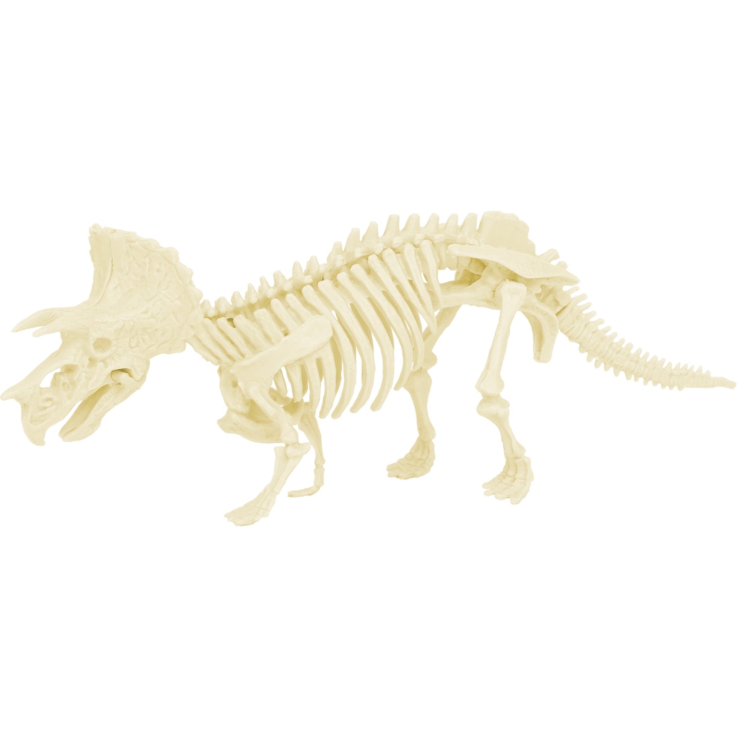 Triceratops - Dinosaurus archeologie set
