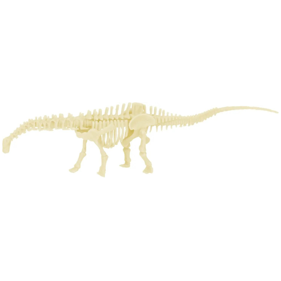 Diplodocus - Dinosaurus archeologie set