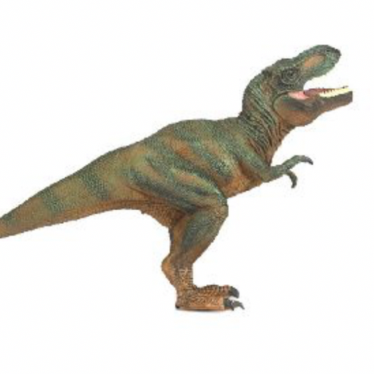 T-Rex Dinosaurus