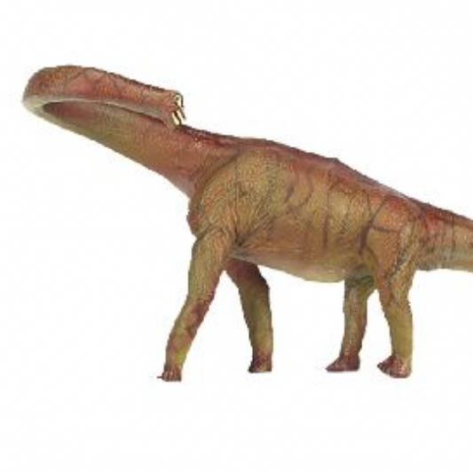 Diplodocus Dinosaurus