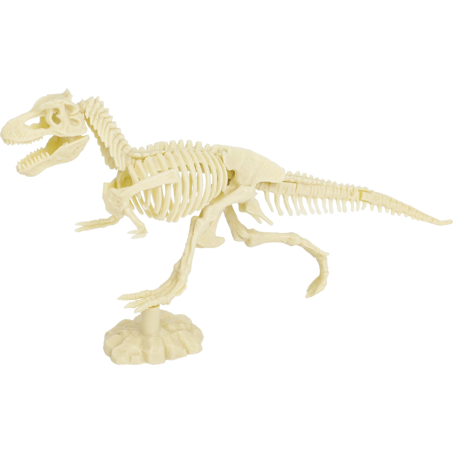 T-Rex - Dinosaurus archeologie set